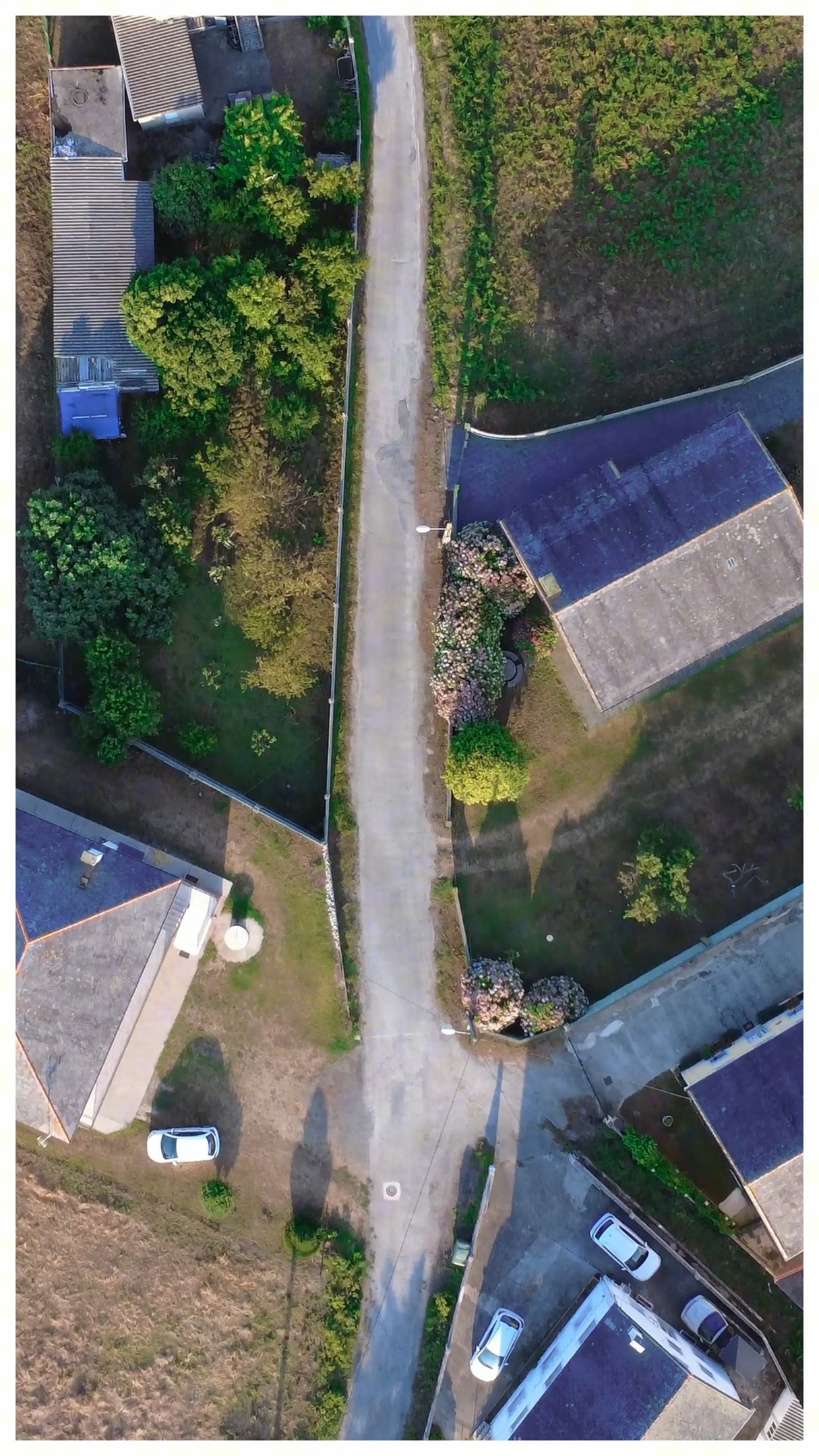 Cada camino cuenta una historia.
Un sendero que lleva a un hogar, visto desde otra perspectiva.  Esto es VisualCore: transformar lo cotidiano en imágenes que inspiran.  #VisualCore #DroneLife #DroneVideo #ImagenAerea #DronePhotography #DroneFootage #Cinematography #Paisajes #Galicia #Hogar #perspectivasúnicas